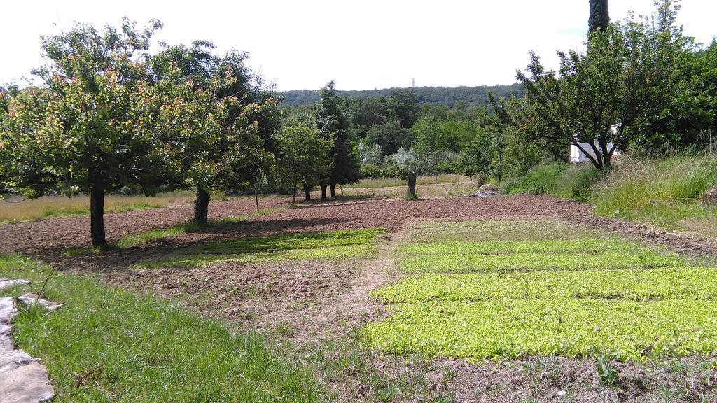 Agriturismo Bosco Fiorito Villa มูเจีย ภายนอก รูปภาพ