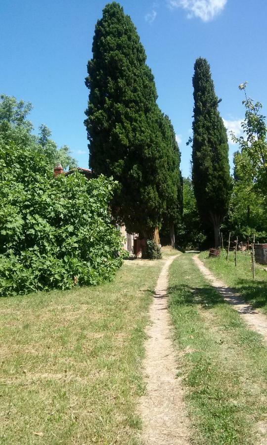 Agriturismo Bosco Fiorito Villa มูเจีย ภายนอก รูปภาพ